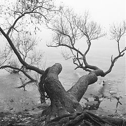 U Kamenného rybníka